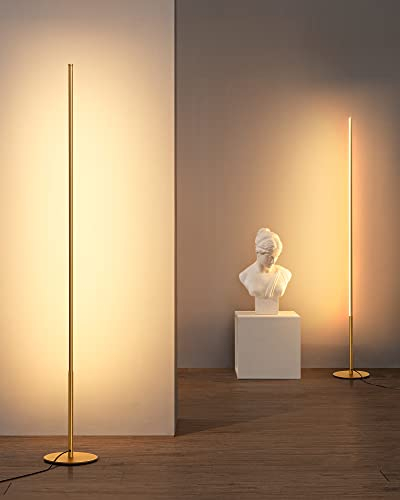 EDISHINE Modern LED Floor Lamp 2 Pack, 57.5 Minimalist Dimmable Standing Lamp,Tall Floor Lamps for Living Room, Bedroom, Office, 3000K Warm White Light, Golden