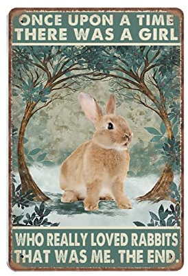 Vintage-Metallblechschild „Kaninchen – Es war einmal ein Mädchen, das Kaninchen wirklich liebte“, Ostertag, lustige Retro-Wandkunst für Küche, Badezimmer, Heimdekoration, Geschenke, Schild, 20,3 x 30,