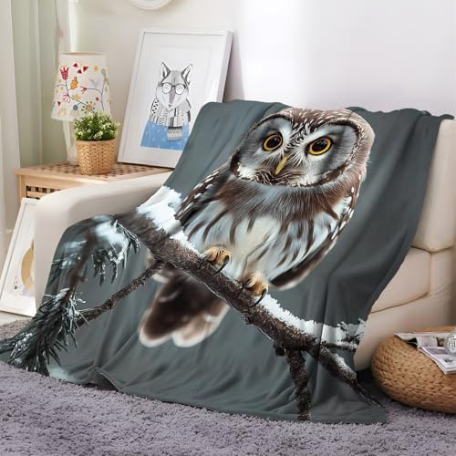 Kuscheldecke Flauschig Decke 100x150 cm Warme Sherpa Decke AST Eule Grau Super Weiche Flanelldecke Wohndecke Schlafdecke Sofadecke Couchdecke für Winter