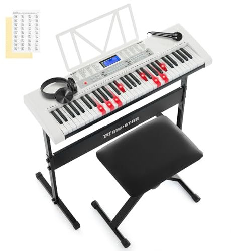 61 Key Piano Keyboard, Electric Keyboard Piano with Light-Up Keys, 255 Tones/Rhythms, Smart Learning System, Headphone, Microphone, Keyboard Stand, Stool, Stickers, 61 Keyboards Set for Beginners