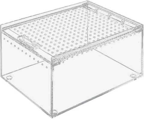 Magnetischer Acrylkoffer für Reptilien, Lebensraum, Terrarium, Zuchtbox, Reptilien, Futterbox für Isopoden