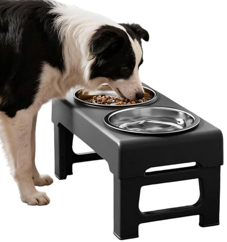 Elevated Dog Bowls Elevated Pet Double Dish with 3 Heights Adjustable