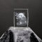 ERN Kristallglas Figur - Panda - 3D Laser Glas Skulptur | 45 x 30 x 30mm | Deko & Geschenkidee