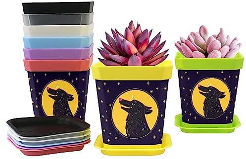 Lot de 8 petits pots de fleurs – Idéal pour une utilisation en intérieur et en extérieur – Loup bleu marine – Décorez votre maison avec ces élégants pots de fleurs