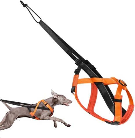 Birtern Hundegeschirr zum Ziehen, reflektierendes großes Hundegeschirr, bequemer Verstellbarer Gurt für Spaziergänge, Sport, Training, Schlitten, Ziehen im Freien