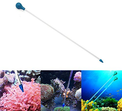 RASTKY SPS HPS Feeder Acrylic Feeder for Marine Fish and Aquarium, Soft Rubber Head Material, for Freshwater Plant Pots, 13.77 Inch Length (Sky-blue)