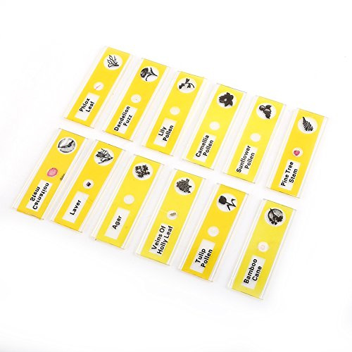 HUIOP Colorful Plastic Prepared Slides Set for Microscope, Ideal for Observation and Learning, Kids and Science Teachers, 48pcs