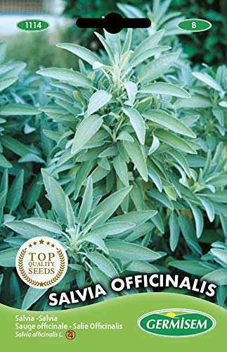 Germisem Salvia Officinalis Semi di Salvia 1 g