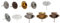 NETPROSHOP Kerzenhalter Krone Durchmesser 7-10 cm zum Stecken für Stabkerzen/Baumkerzen, Farbe:Rost, Auswahl:7 cm