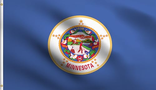 DMSE Flagge Minnesota 32. Staat 1858, 60 x 90 cm, 100 % Polyester, 100D UV-beständig, 60 x 90 cm