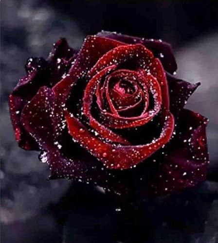 Noble Red Rose-Adult Wooden Jigsaw Puzzle 60000 Pieces Unique Shape Beautifully Boxed Fun Challenging Brain Exercise Family Game Gift For Friends Parents Grandparents