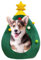 Casa Para Gato En Forma De Árbol De Navidad - Casa Para Perro De Interior Portátil, Cama Para Gato En Forma De Árbol De Navidad | Casa De Cama Para Gato De Larga Duración, Acogedora Casa Para Mascotas