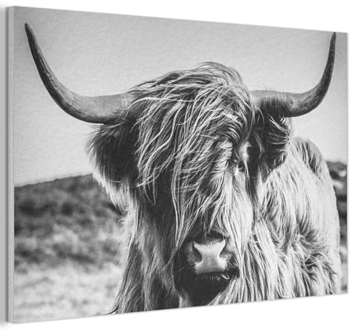 MuchoWow© Wandbild aus Filz Dekoration Wohnzimmer Bilder Pictures Wall | 90x60 cm - Decoration Living Room Wohnungs Deko Moderne Bild Schottisches Hochlandrind - Nahaufnahme - Hörner - Schwarzweiß