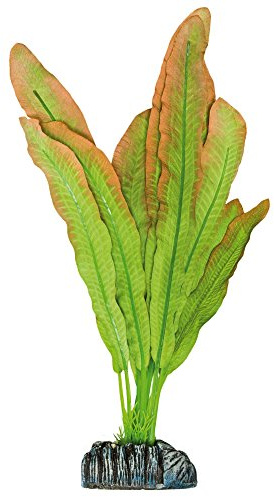 ICA Aquatic Plants AP1142 Planta de Seda Microsorium para Acuarios, 21 Cm