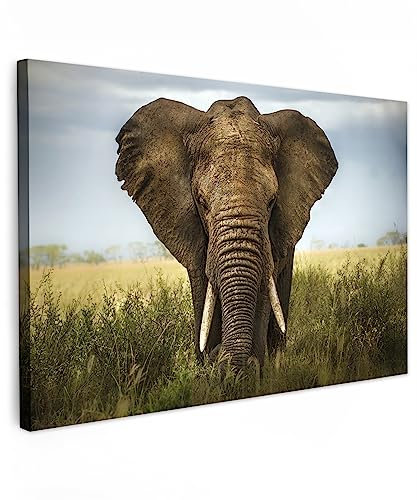 MuchoWow© Impression sur Toile Peinture 90x60 cm Tableau Mural Decoration Salon Reproductions de Tableaux Murale Moderne Eléphant - Nature - Herbe - Animaux - Paysage
