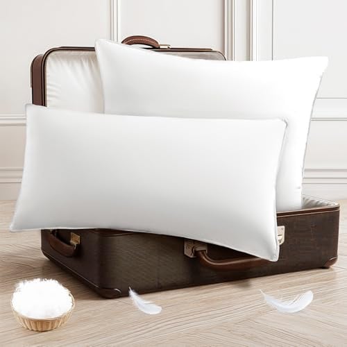 DEITAS Daunenkissen - 3-Kammer Design für optimalen Nackenstütz, weiche & atmungsaktive 100% Baumwollbezug, Bettkissen perfekt für Allergiker(Weiß,40x80 cm (2 Stück))