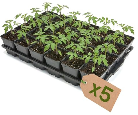 Garronda Anzuchtschale 24 Plätze mit 0,5 L Pflanztöpfen abgerundet 5er Set Transporttray Kunststoff für Gewächshaus Garten Anzuchtsysteme mechanischen Transport Schwarz GD-0208