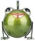 Tooarts Cartoon Frosch Gießkanne Eisen Tier Gießkanne Garten Streuen Kessel Fee Garten Dekoration Kinder DIY Garten Grün