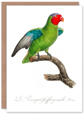 Artery8 Francois Levaillant Art Card The Red Cheeked Parrot