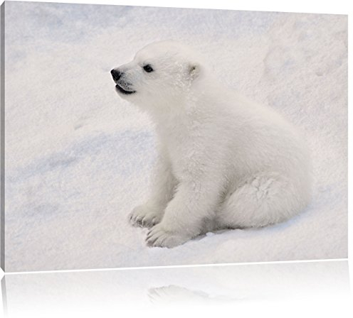 Pixxprint niedliches Eisbär Baby, Größe: 60x40cm, Leinwandbild, fertig gespannt, Wandbild, Dekoration, Kunstdruck, kein Poster
