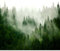 decomonkey - Papier Peint Panoramique Foret 350x256 cm - Décoration murale – Tapisserie décorative pour chambre salon - Arbres montagnes habillés en automne paysage forêt brouillard tendances