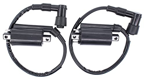 Doo Engy Zündspule Motorrad Motorzündspule für Yamaha XV 250 Virago Grizzly Kodiak 400 Wolverine 450 für Kawasaki EL 250 EX für Suzuki VZ 800 Marauder VS 750 Intruder VZR 1800 TL 1000