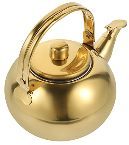 Anneome Stainless Steel Pot Water Kettle for Household Use Wear-Resistant Tea Kettle Long Filter Net for Daily Tea Preparation