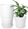 Lot de 6 pots de fleurs ronds avec soucoupe, 12 cm avec plusieurs trous de drainage, pour l'intérieur et le balcon, cactus juteux (noir, 12 cm)