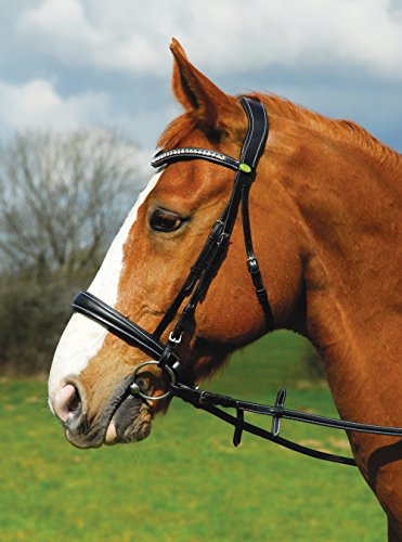 Rhinegold 0 Anatomic Cavesson Bridle-Extra Full-Black Trense, Schwarz, Kaltblut/Warmblut extragroß