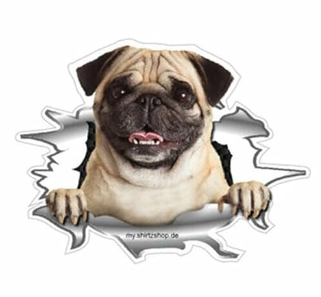 Sammys Shirt Store Mein Bester Freund an Bord-Mops Vinyl-Aufkleber Sticker für Auto wetterfest 10cm