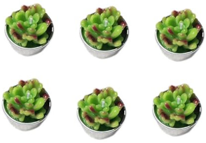 PRETYZOOM 6 Pièces Bougies Succulentes Bougies De Cactus Chauffe-plat De Spa Bougie Décorative De Plantes Succulentes Bougie Thermale Mini-cactus Mini-bougie
