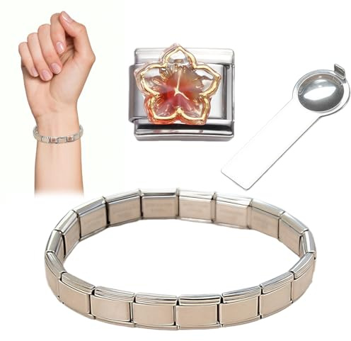1 Stück Italian Charms Bracelet Mit Entnahmewerkzeug Edelstahl Italian Charm Bracelet Charms, Italian Style Charms für Damen