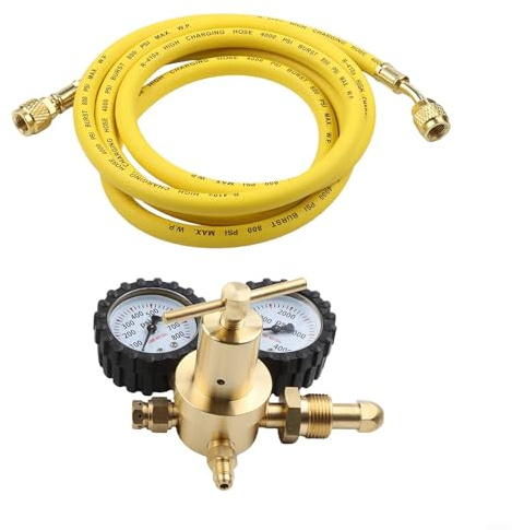 Nitrogen Pressure Regulator in Brass with G5/8 and CGA580 Threaded Fittings, 2m Hose for Regulated Nitrogen Distribution (B)