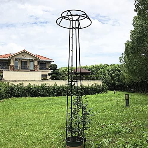 LYXWGRZD Metal Garden Obelisk,Umbrella Type Garden Trellis,Outdoor Climbing Plants Support Stands Pylon Frame,For Climbing Vines/Flowers/Vegetables/Fruits (Color : Black)
