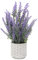 Künstliche Lavendel Blumen Kunstpflanzen Kunstblumen Flocked Kunststoff Lavendel im Zementtopf Indoor Outdoor Home Küche Büro Tischdekoration Dekor