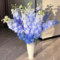 semi di delphinium Delphinium elatum perenni bonsai decorazione del balcone piante esotiche in vaso, piante verdi tappezzante perenne resistente, semi di piante semi di fiori selvatici 200pcs