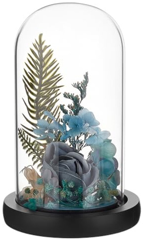 BENECREAT Glas Cloche Dome mit Holzuntergrund 15.7x7.6cm Bogen Display Dome für Pflanzen und Sammlerstücke Komplettset Glasglocke mit massivem Holzständer für Heimdekoration Schwarz