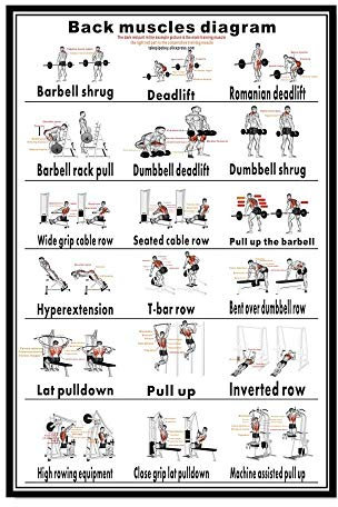 Ling88 Bilder,Poster,Kunstdrucke,Brust Hantel Workout Übung Poster ， Krafttraining Diagramm - Home Gym Gewichtheben Routine ， Bodybuilding Guide Guide Fitness Übung Wandbilder-50X70Cm