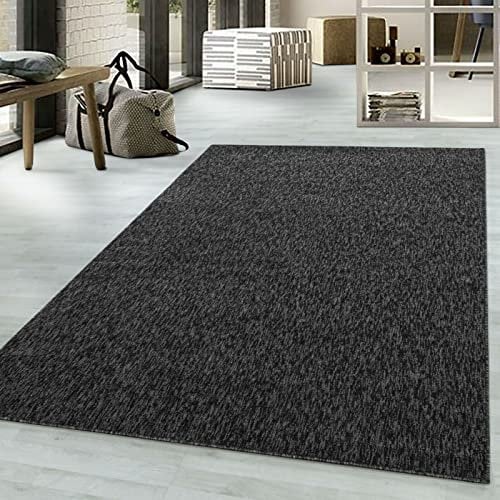 viceroy bedding NIZZA Modern Rugs Living Room Carpet Mat For Bedroom Large Area Rug Hallway Kitchen Extra Large Size Short Pile Flat Weave (120cm x 170cm (4ft x 5.6ft), Black)