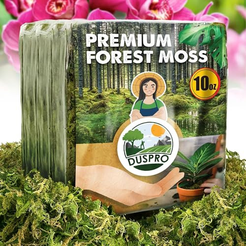 DUSPRO Dried Moss for Potted Plants, Forest Orchid Moss for Potting Soil, Sphagnum Flower Moss for Indoor Plants, Real Moss Ground Cover for Houseplant (283.5 g)