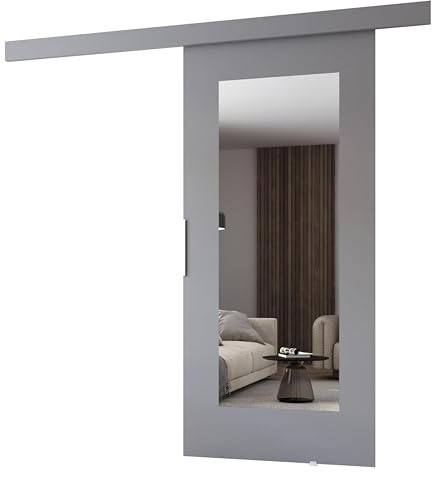 MINIO go for it - Porte Coulissante Interieur avec Rail CLEAN I, Portes Coulissantes Murales Intérieures, Coulis, Complet Raille Doors, Ensemble Porte Interieur (Gris Mat 76x205 cm)