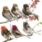 xlwen Künstliche Vögel mit Federn und Clip, 6 Stück Künstliche Vögel Feder Vogel Modell,Mini Vogel Dekofigur,6 Farben Vogel Mit Clip für Handwerk, Garten, Vogel, Partydekorationen