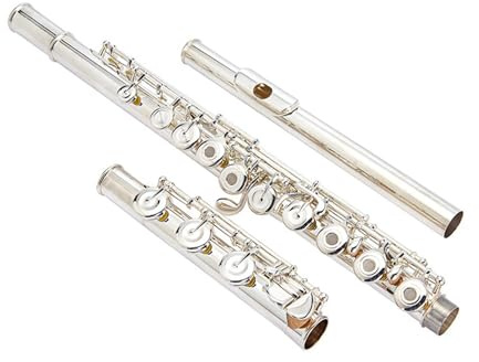 Flauto Strumento per flauto a fiato in argento Bocchino in argento C-Tune a 17 fori