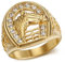 BOBIJOO JEWELRY - Bague fer à Cheval Tête Chevalière Elvis Camargue Gitan Acier inoxydable Or Doré Plaqué - 22,6 (13 US)