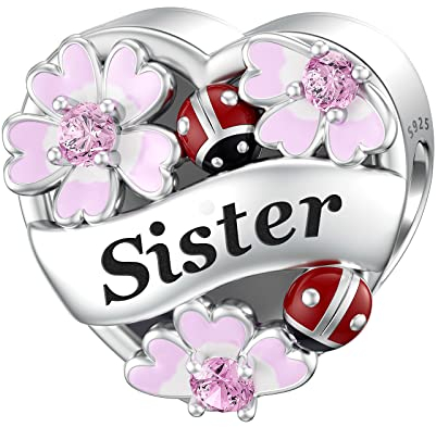 LANBEIDE Schwester Charms für Pandora, 925 Sterling Silber Liebe Herz Emaille Perlen Charms mit Marienkäfer Käfer Blume für Armband Halskette Geschenke für Frauen