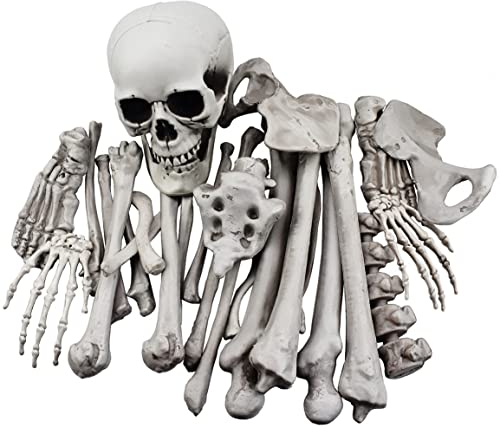 XONOR 28 Stück Skelettknochen und Totenkopf für Halloween Deko oder gruselige Friedhofsgrunddekoration