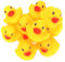 STUWU 12 x Quietscheente 3,5 cm Badeente Badeenten Quietscheentchen Gummiente Entenangeln Badeentchen