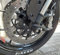 Protezione forcella compatibile con KTM Duke 790 2023-2024