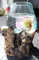 N/A Verre fondu sur bois, 1kg Earthy Brown Pumice, Small Bowl