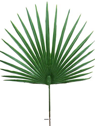 Artificielles.com - Feuille palmier Chamaerops artificielle H 53 cm D 36 cm ext